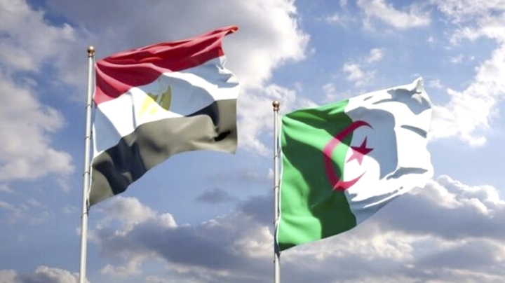 استثمارات جزائرية – مصرية لإنهاء احتكار منطقة غرب إفريقيا