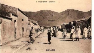 مدينة المشرية