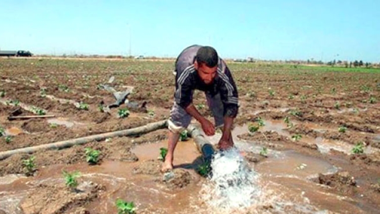 نحو ربط 474 مستثمرة فلاحية بالكهرباء في وهران