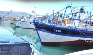 وكالة التشغيل تدعم اقتناء سفن صيد ”السردين”