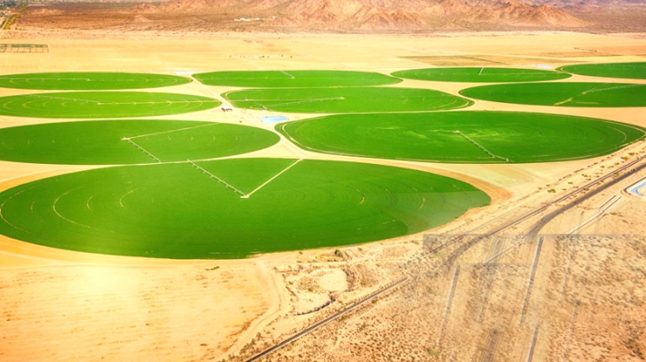 الجنوب.. مستقبل الفلاحة والصناعات التحويلية