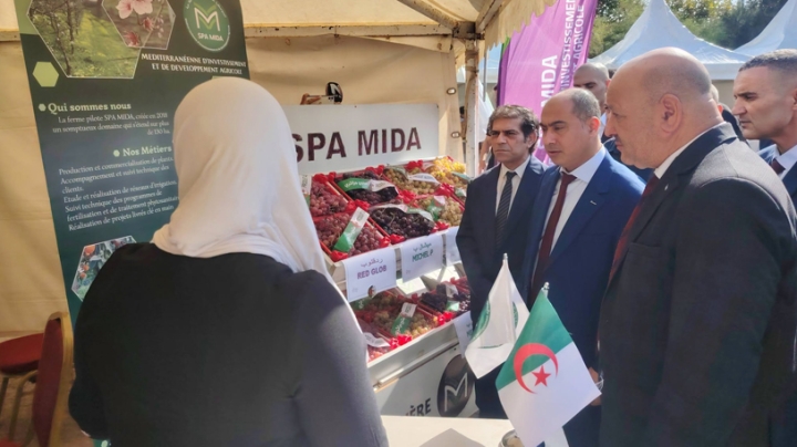 صادرات الجزائر من العنب تتجاوز مليون دولار