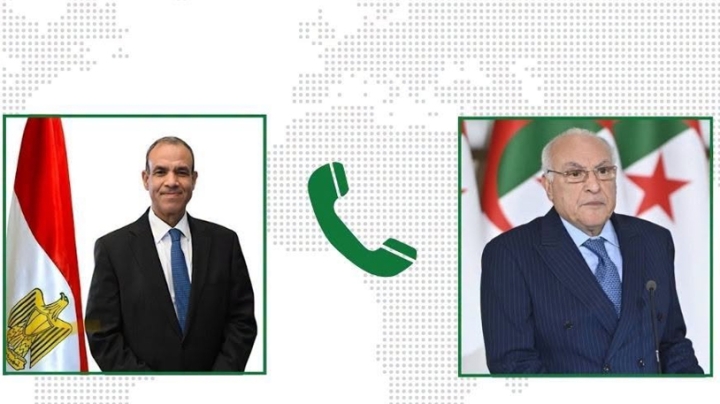 مواصلة التنسيق والتشاور حول القضايا العربية والإفريقية