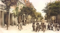 مدينة سطيف