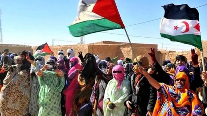 دعوة الحكومة الإسبانية إلى الالتزام بالشرعية الدولية