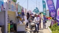 سفر &quot;مجاني&quot; إلى أربع قارات بمهرجان &quot;أكل الشوارع&quot;