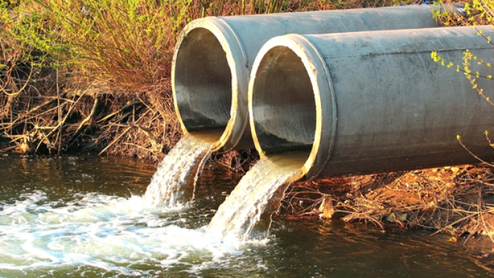 4367 مؤسسة تحت المراقبة