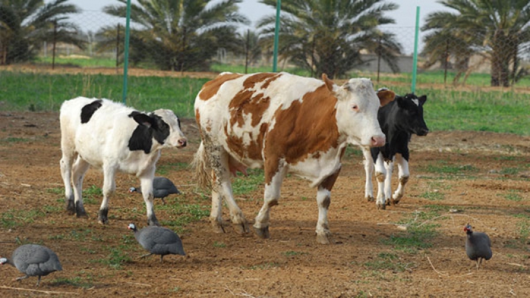 فتح شبابيك عبر 67 صندوقا جهويا و413 مكتبا محليا