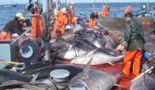 وزارة الصيد تعتبر القرار اعترافا بالخطأ في حق الجزائر 