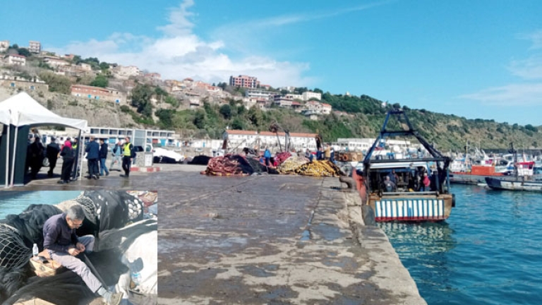 ضمان الأمن الغذائي مرهون برفع بعض العراقيل