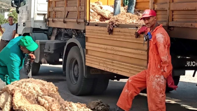 شاحنات وحاويات خاصة لجمع &quot;هيدورة&quot; الأضاحي