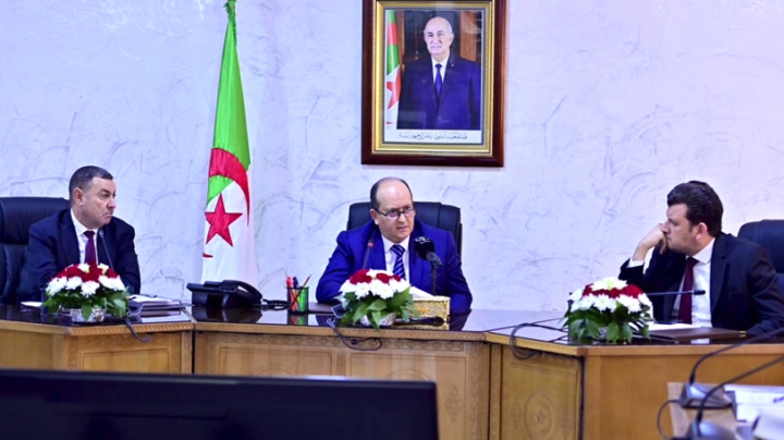 خطة استباقية لاحتواء انتشار الجراد بالجنوب الغربي