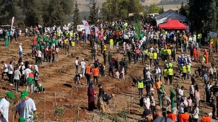 حملة وطنية لغرس 5 ملايين شجيرة هذا السبت