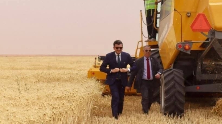 نتوقّع إنتاجا قياسيا من الحبوب هذا الموسم