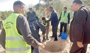 مشاريع في الأفق لتنمية الثروة الغابية