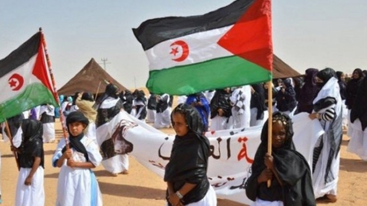 مطالب متجددة بتمكين الصحراويين من حق تقرير المصير