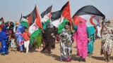 المرافعة من أجل حق الشعب الصحراوي في تقرير المصير