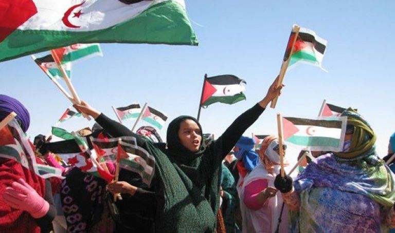 أكاديمي أمريكي يدعو إلى تمكين الشعب الصحراوي من تقرير مصيره
