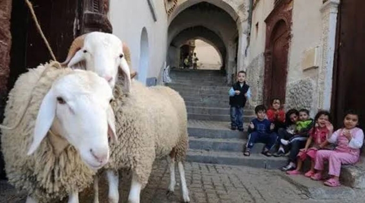 عيد الأضحى يوم الجمعة 6 جوان القادم
