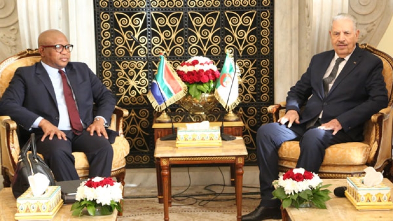 الرئيس تبون يعتبر البعد الإفريقي خيارا استراتيجيا للجزائر الجديدة