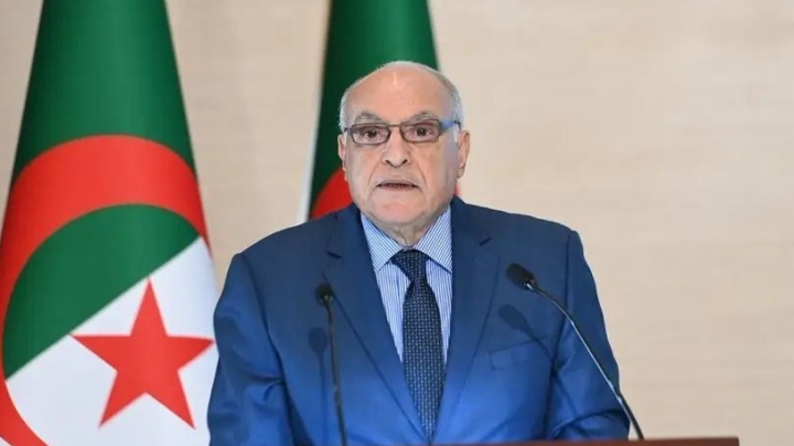 الرئيس تبون أرسى نهجا تجديديا للسياسة الإفريقية