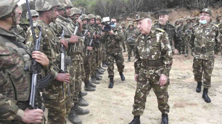 القبض على 7 إرهابيين والعثور على جثة آخر بسكيكدة