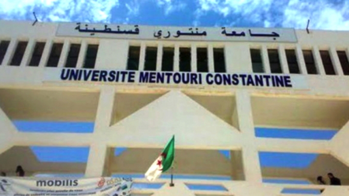 مشاريع رقمية مبتكرة في الأفق