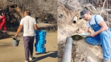 الحياة تعود تدريجيا إلى قرى ومداشر جيجل