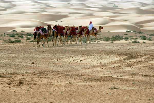 الثابت والمتحول فوق رمال أبوظبي