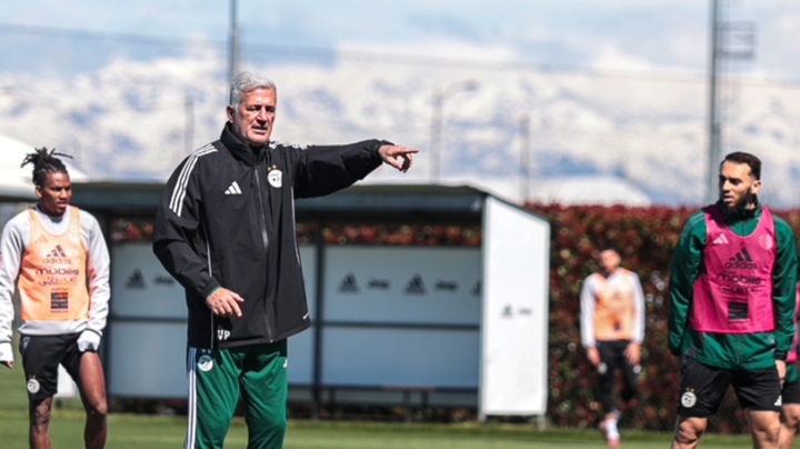 بيتكوفيتش: معيار الاختيار هو الجاهزية والمستوى الفني