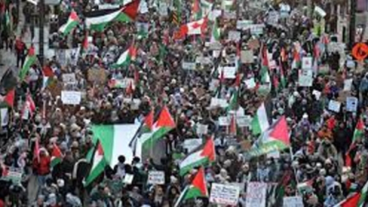 توسع دائرة التضامن الدولي مع الفلسطينيين