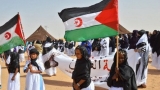 مؤتمر دولي بجامعة إشبيلية حول القضية الصحراوية
