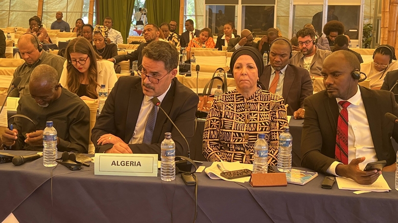 الرئيس تبون جعل الشباب ركيزة التنمية والاستقرار