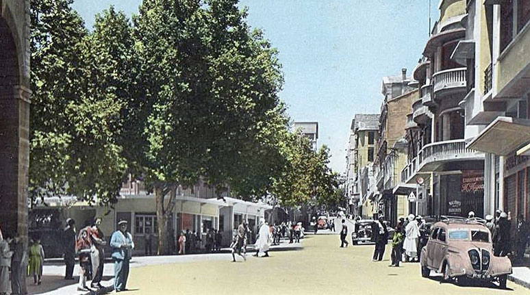 مدينة تيارت