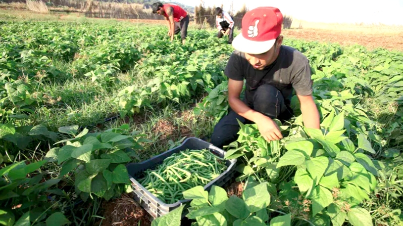 المزارع وجهة سياحية للباحثين عن هدوء الطبيعة